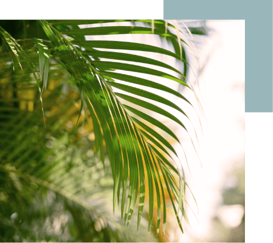 real estate - value simage (1)