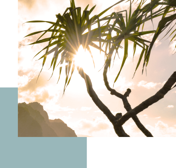 solar - values image (1)