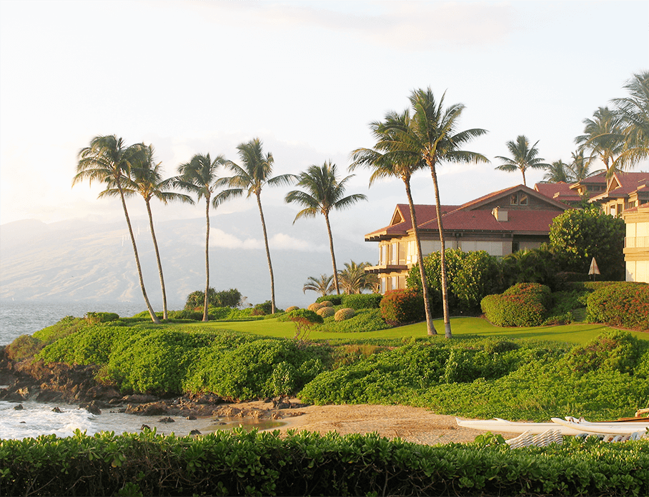 Section_2_left_image_filler