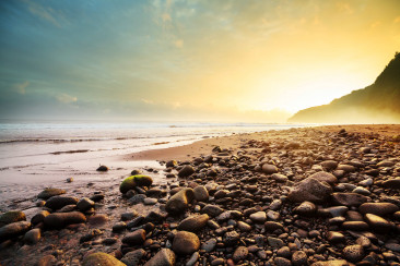 AJ_WritingWithPurpose-min